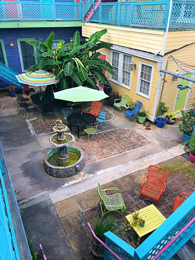 Creole Gardens And New Orleans
